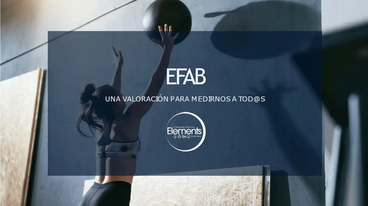 efab-evaluacion